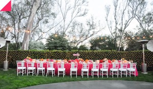 CALIFORNIAN HINDU WEDDING